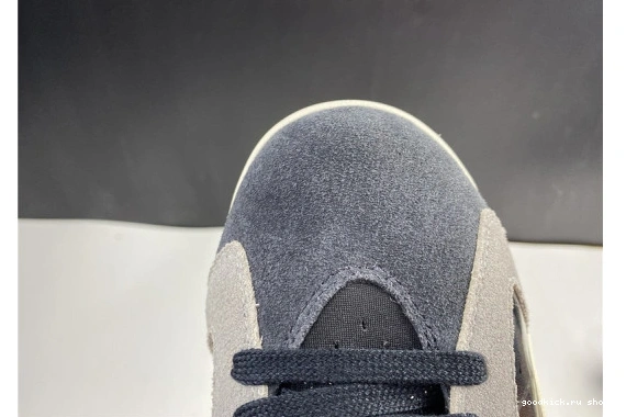 Jordan 6 WMNS “Tech Air Jordan-6 Chrome 0303